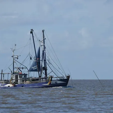 Strandstern Mit Wallbox *
